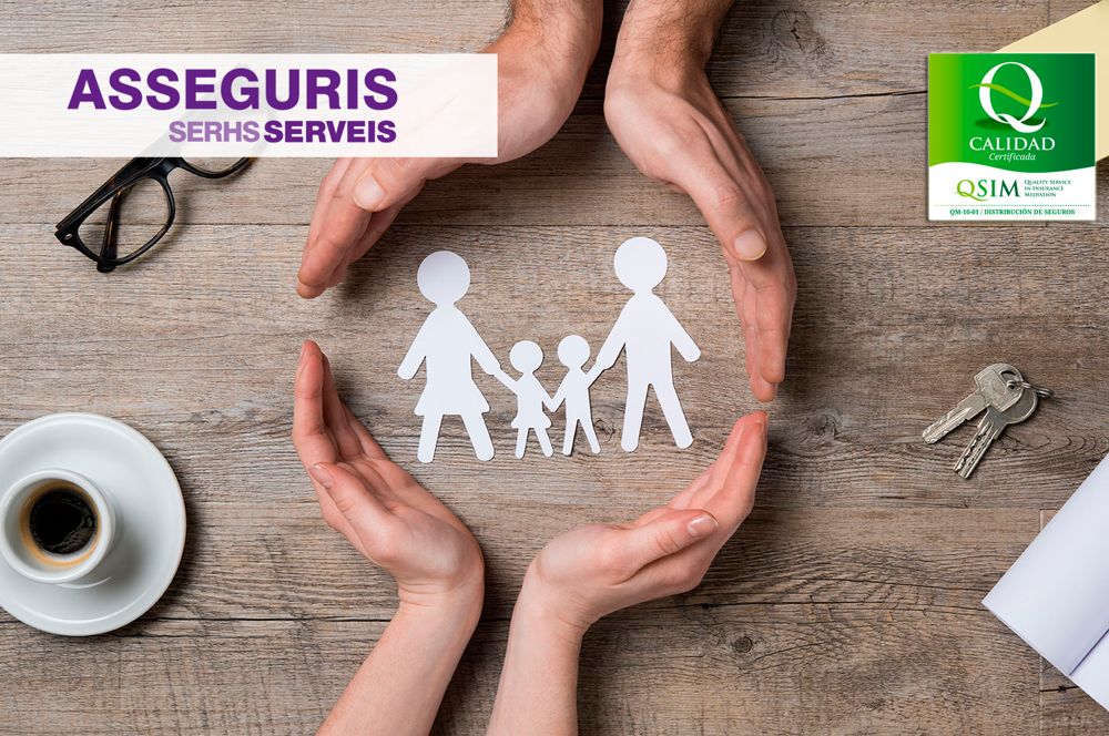 Asseguris_Imatge Assegurances per a la llar, vehicle, salut i ciber seguretat - ASSEGURIS